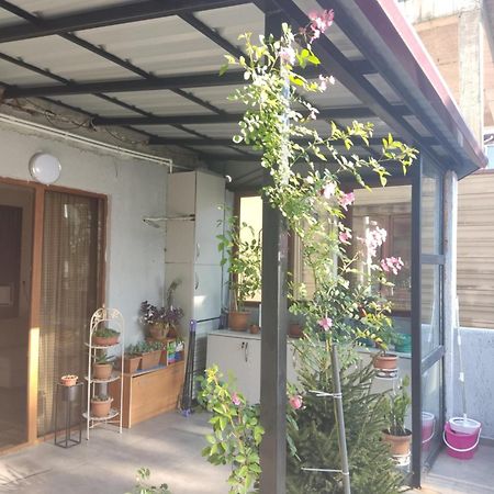 Apartment Agmashenebeli 99 Kobuleti Luaran gambar